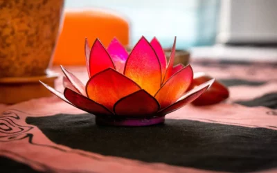 Cycle des soirées « Les couleurs du Tantra »